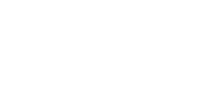 NETHRA SYSTEM – Digital solutions for growth